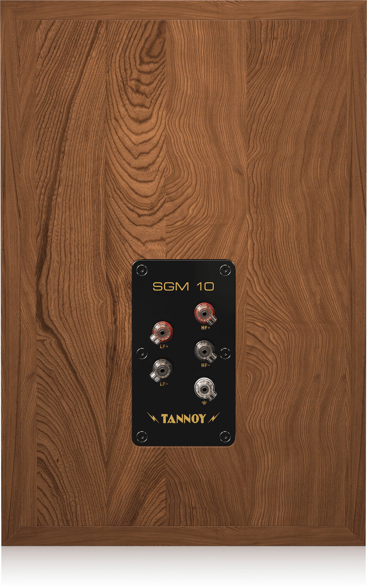 Tannoy SGM 10