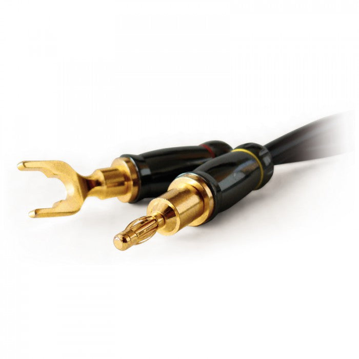 Modifiziertes Lautsprecherkabel Dynavox High End