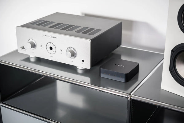WiiM Pro Plus – Ultra-High-Res-Audio-Streamer mit Chromecast