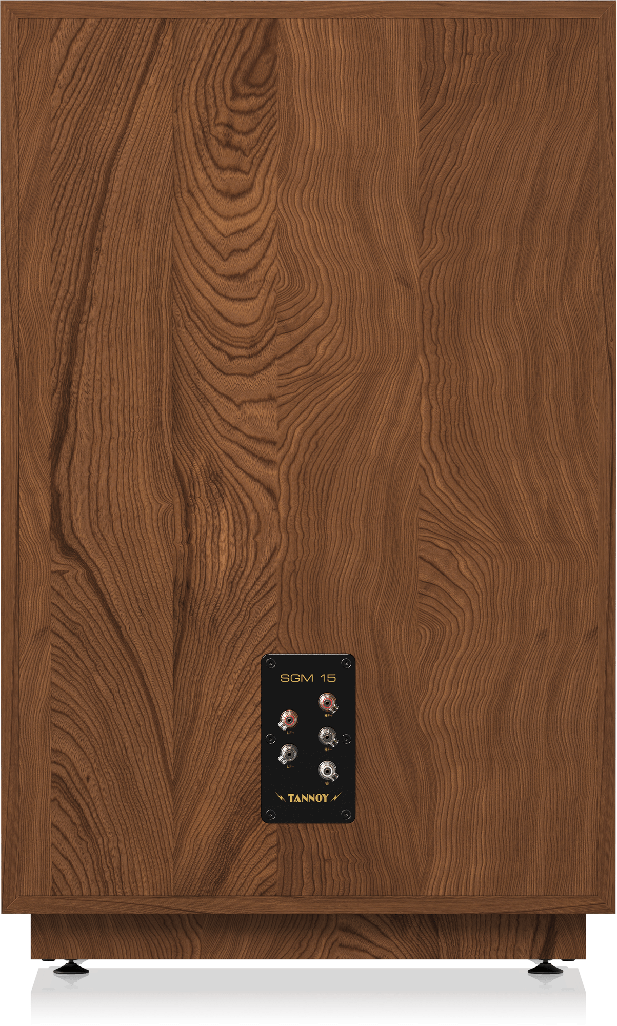 Tannoy SGM 15